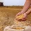 organic-soybean-meal-farm